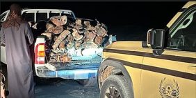 ضبط مواطن لنقله حطبًا محليًا في محمية طويق الطبيعية